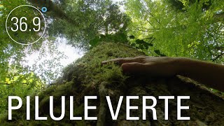 Documentaire Comment la nature soigne