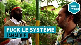 Fuck le système : en Jamaïque, chez les rastas
