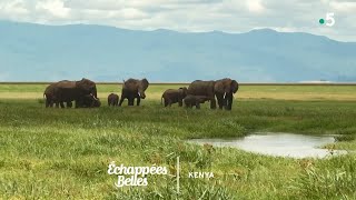 Documentaire Échappées belles – Kenya, un rêve de safari