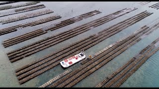 Documentaire Ma vie, mon île : l’Île d’Arz et l’île Tascon