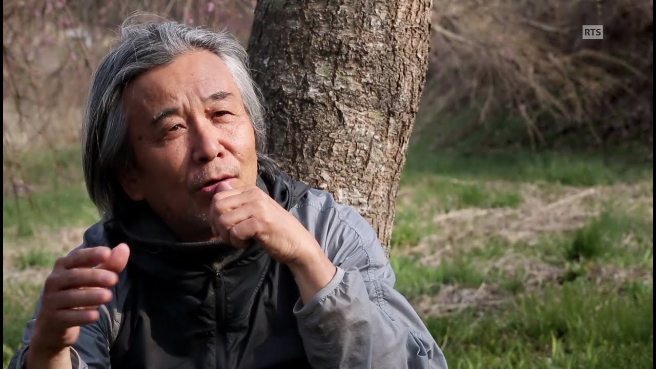 Documentaire Sakura, fleurs de vie ou les cerisiers du Japon