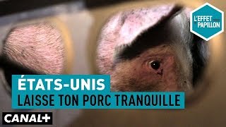 États-Unis : laisse ton porc tranquille