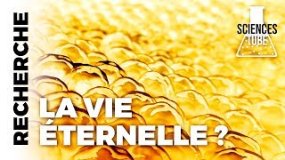 Documentaire A la recherche de la vie éternelle