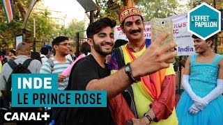 Documentaire Inde : le prince rose