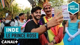 Inde : le prince rose