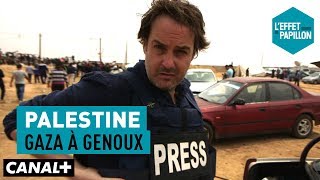 Palestine : gaza à genoux