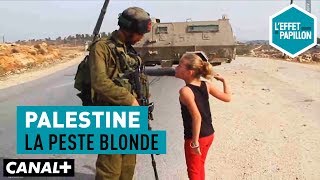 Documentaire Palestine : la peste blonde
