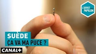 Suède : ça va ma puce ?