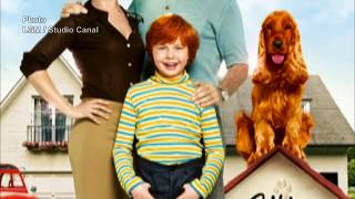 Les chiens stars du grand écran