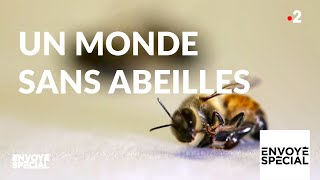 Un monde sans abeilles
