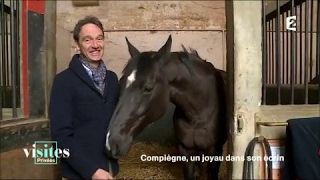 Documentaire Que va devenir le Haras national ?