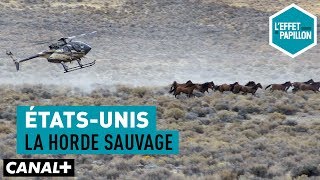 Documentaire États-Unis : la horde sauvage