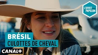 Documentaire Brésil : culottes de cheval