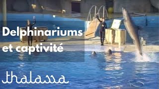 Dauphins, orques et delphinariums