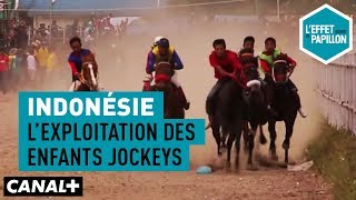 Indonésie : l’exploitation des enfants jockeys