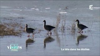 Documentaire Le Parc du Marquenterre