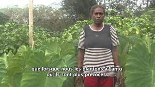 Documentaire Nos racines (1/2)