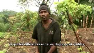 Documentaire Nos racines (2/2)