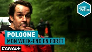 Pologne : mon week-end en forêt