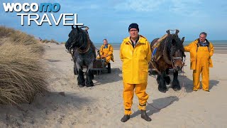 Belgique entre ciel et terre – Partie 1 – La Basse Belgique