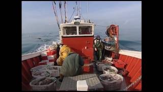 Des pêcheur sénégalais en baie d'Arcachon