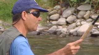 Destination Pêche – Neste la loi du partage