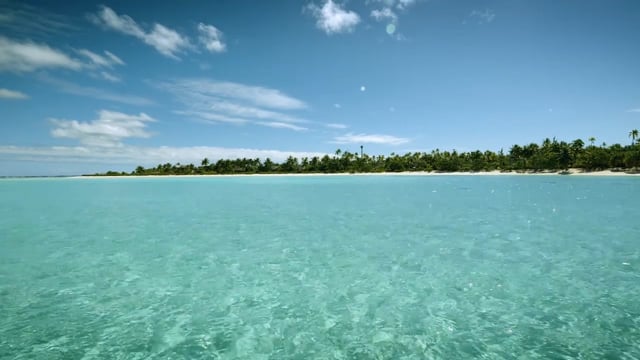 Echologis - Tahiti