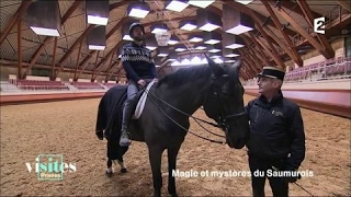 Le Cadre noir de Saumur