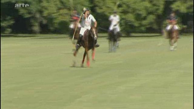 Le monde des chevaux - L'argentine