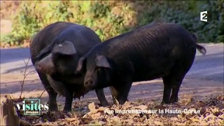 Le porc Nustrale