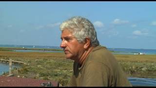 Les siffleurs du bassin : chasse aux Limicoles