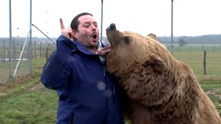 Documentaire L’homme qui murmurait à l’oreille des ours