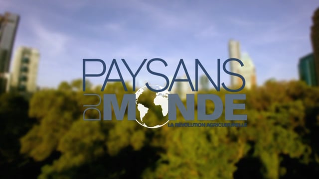 Documentaire Paysans du monde –  Singapour