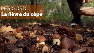 Périgord – La fièvre du cèpe