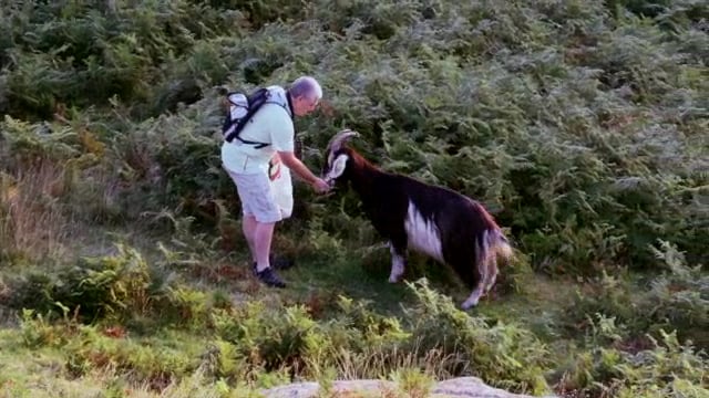 Rencontres en terres de chèvres