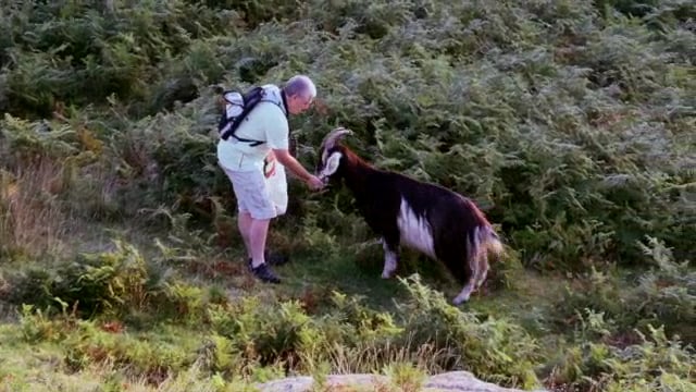 Documentaire Rencontres en terres de chèvres