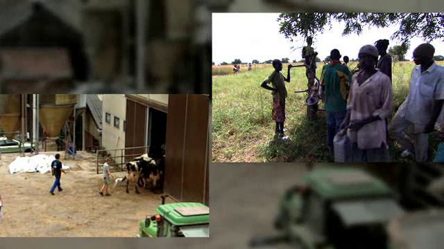 L’agriculture paysanne : stop ou encore?