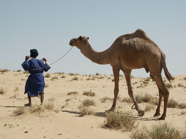 Documentaire Touaregs, la fin du rêve nomade