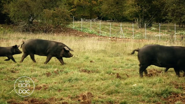 Terroirs de l’excellence : le jambon beurre