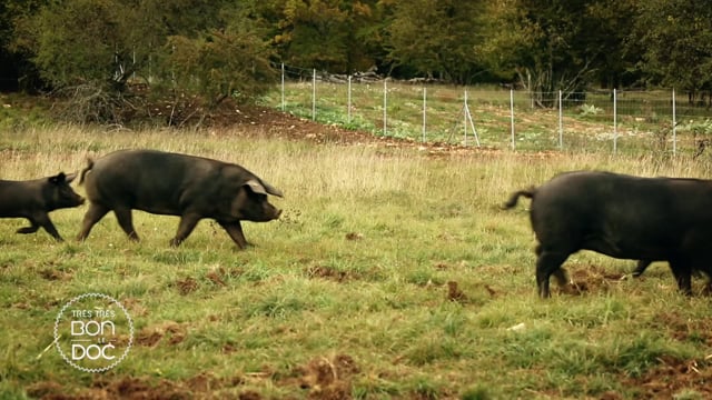 Documentaire Terroirs de l’excellence : le jambon beurre