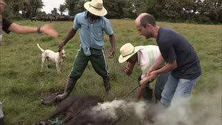 Vas voir ailleurs : destination Brésil