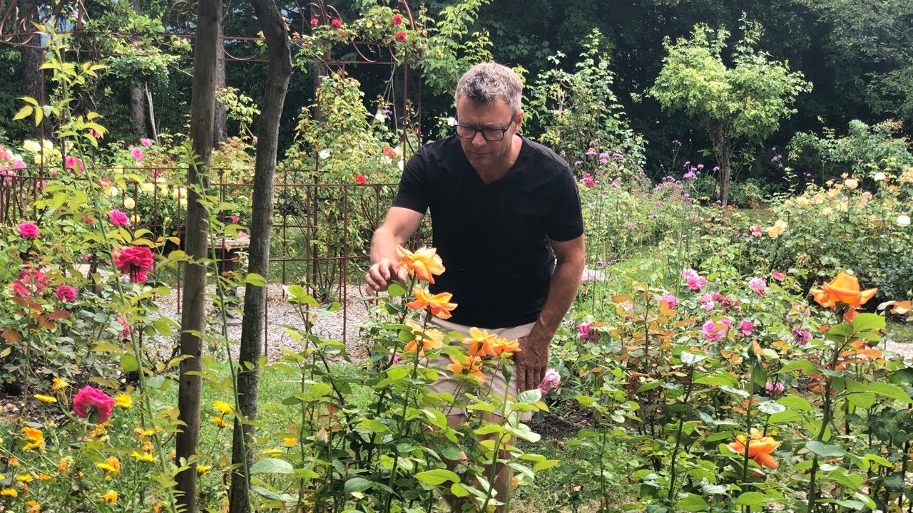 Documentaire Au nom de la rose