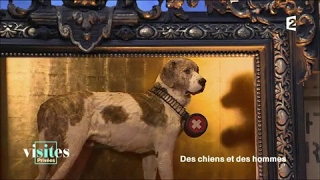Barry, chien sauveteur