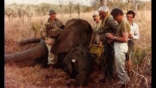 Chasse au Cameroun : Henry Eyt-Dessus, le seigneur du Faro