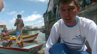 Documentaire Dans les coulisses d’un aquarium