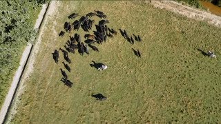 Documentaire Du champ à l’assiette