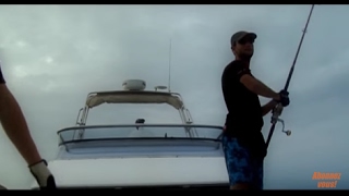 La dernière reine de corail, pêche de la carangue au lancer