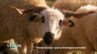 Documentaire Le mouton Thônes et Marthod