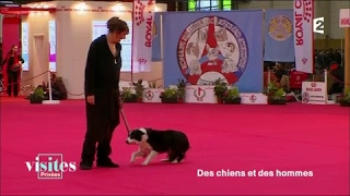 Documentaire Paris Dog Show