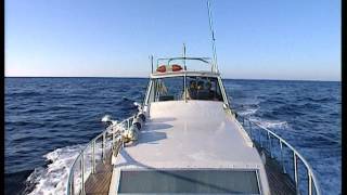 Pêcheur de corail au Maroc